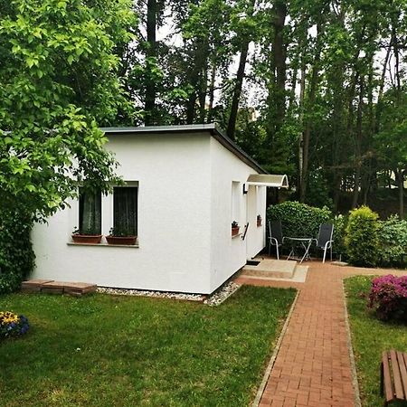Ferienbungalow Im Igelbau 바베 외부 사진